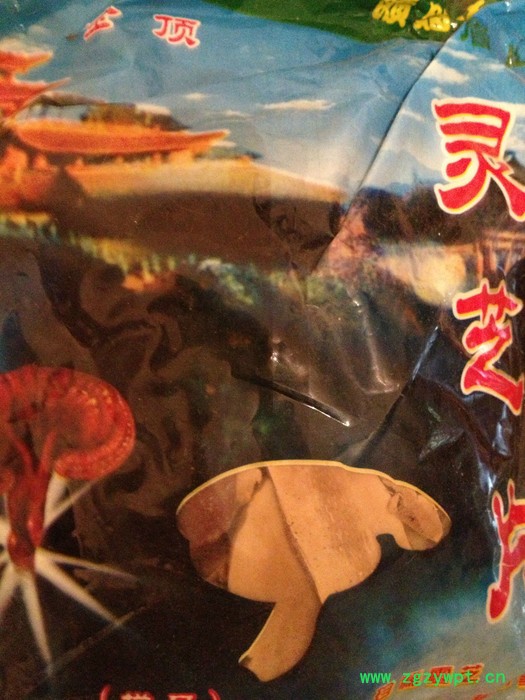 供应黄金人灵芝切片图3