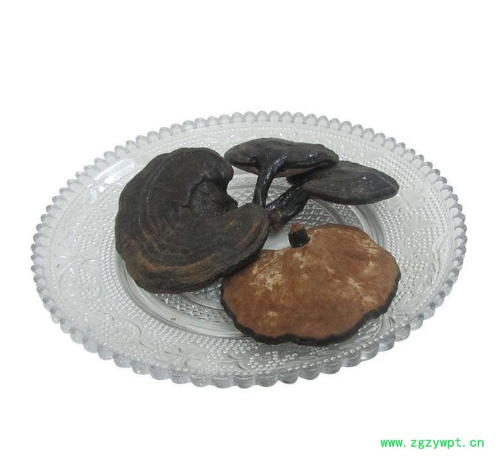 罗氏灵芝 批量竹灵芝叶子 润肤竹灵芝 直销批发中药材图3