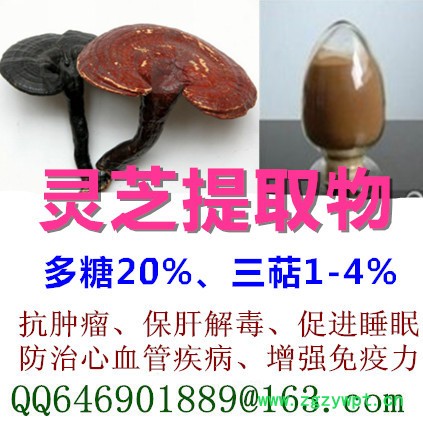 供应明润生物MR200910100005灵芝提取物，灵芝三萜，灵芝多糖图3