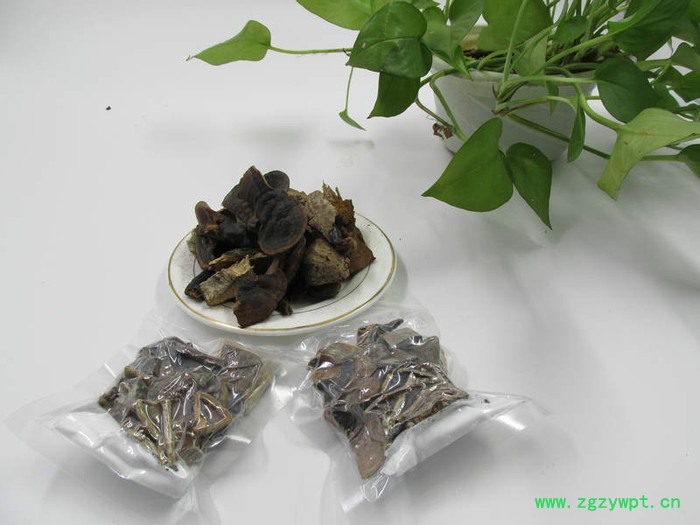 供应海南五指山**灵芝 **灵芝批发图4