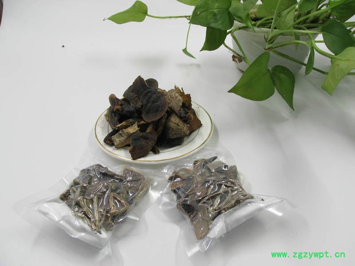 供应海南五指山**灵芝 **灵芝批发图3