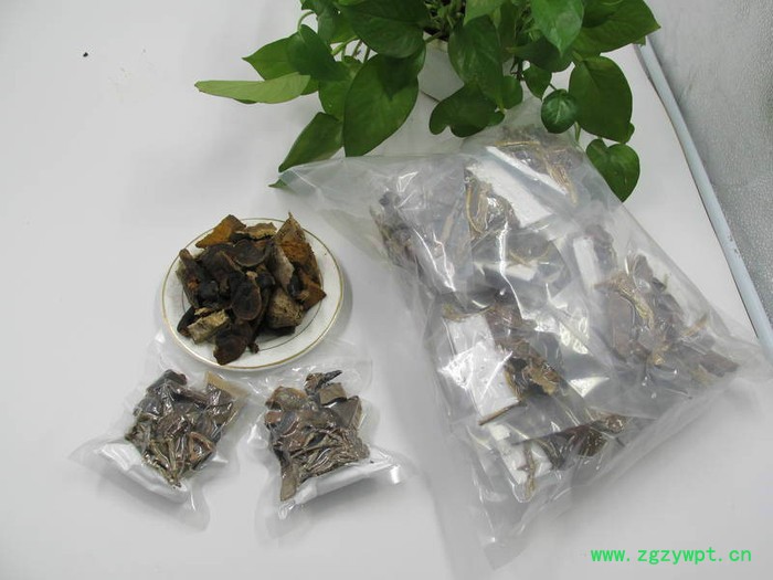 供应海南五指山**灵芝 **灵芝批发图6