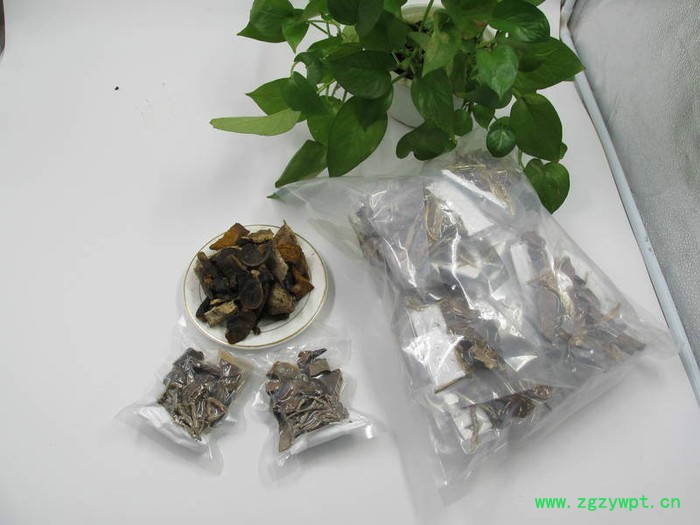 供应海南五指山**灵芝 **灵芝批发图5