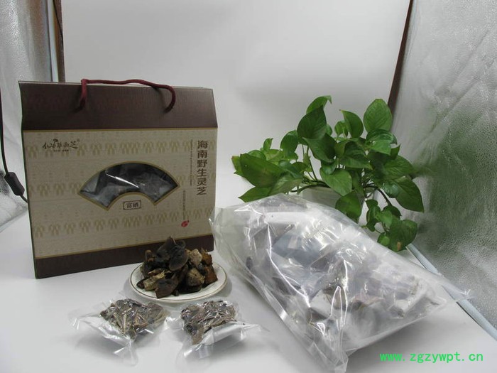 供应海南五指山**灵芝 **灵芝批发图2