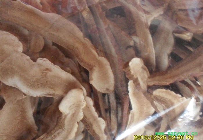 各规格灵芝切片