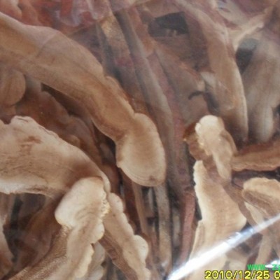 各规格灵芝切片