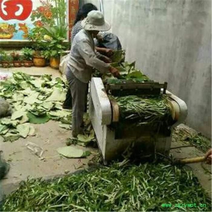 660型山药切片机 宇晨猪耳朵均匀快速切丝机 1000型木耳切丝机厂家价格图7