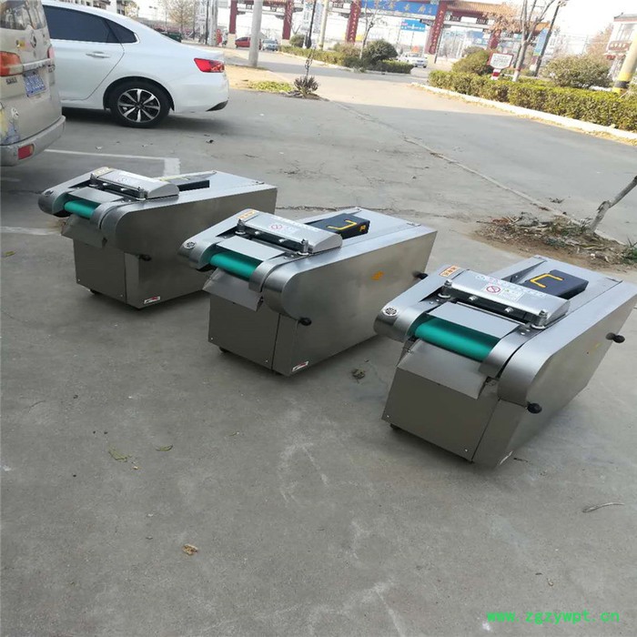 蔬菜辣疙瘩切丝机 杏鲍菇切片机视频 自动中草药切丝机图8