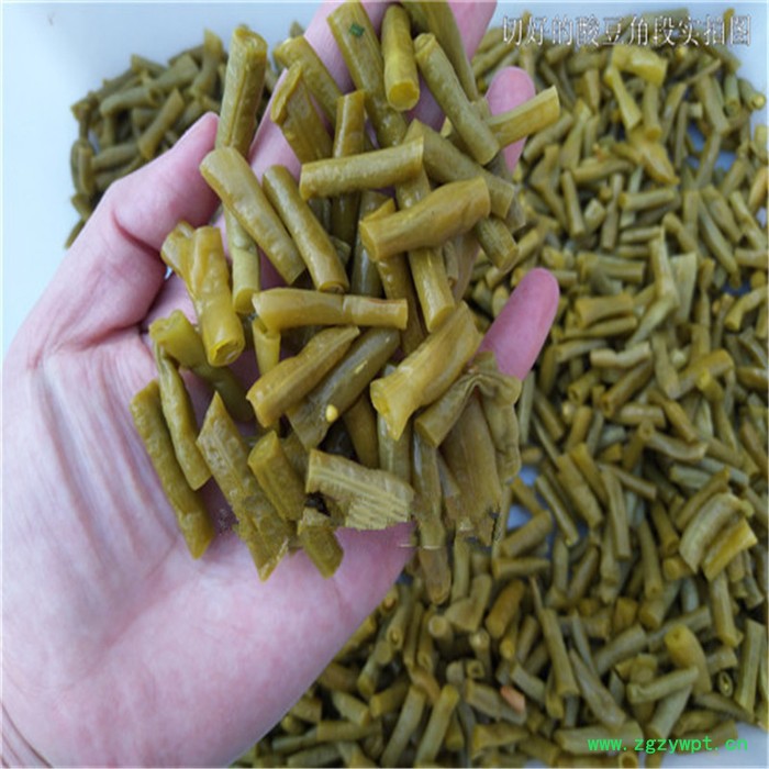 蔬菜辣疙瘩切丝机 杏鲍菇切片机视频 自动中草药切丝机图7