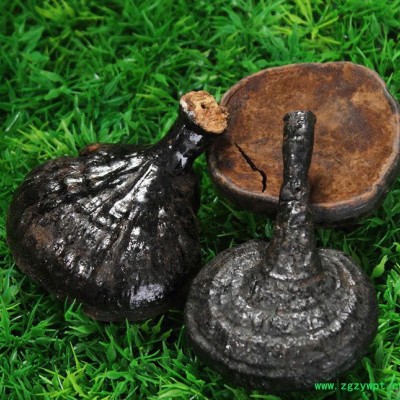 罗氏灵芝反柄灵芝直销补品黑色反柄灵芝 **补品 泡药酒药材