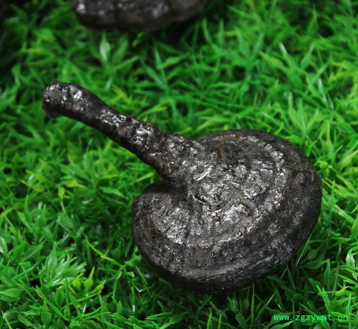 罗氏灵芝反柄灵芝直销补品黑色反柄灵芝 **补品 泡药酒药材图3