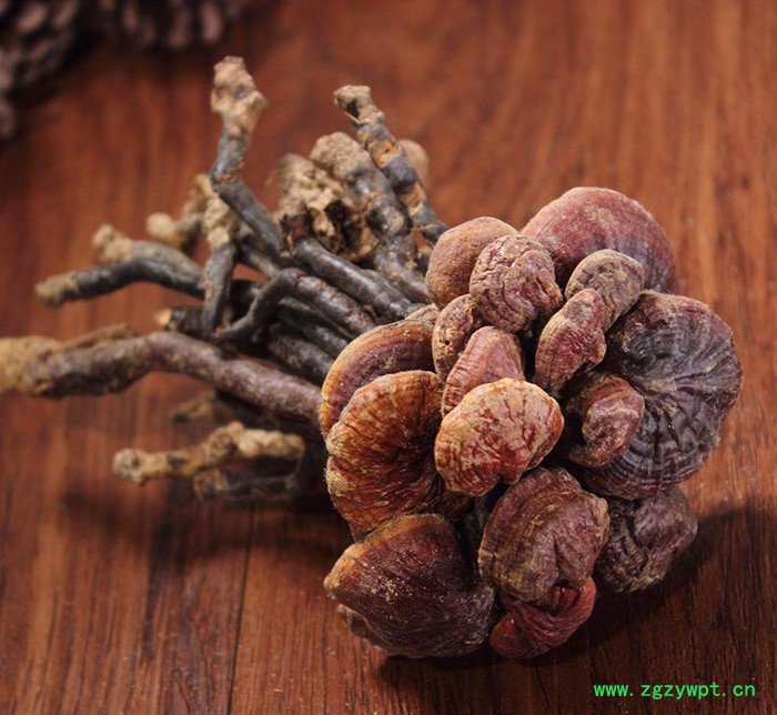 罗氏灵芝 **灵芝王 直销补品 **灵芝王 **补品 泡药酒药材图2