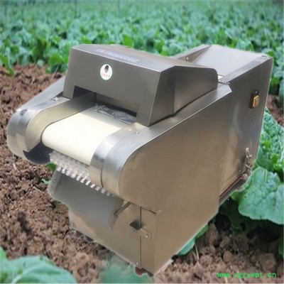 山药切菜机  辣疙瘩切丝机  萝卜切片切丝机