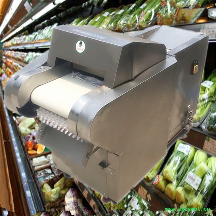 山药切菜机 辣疙瘩切丝机 萝卜切片切丝机图8