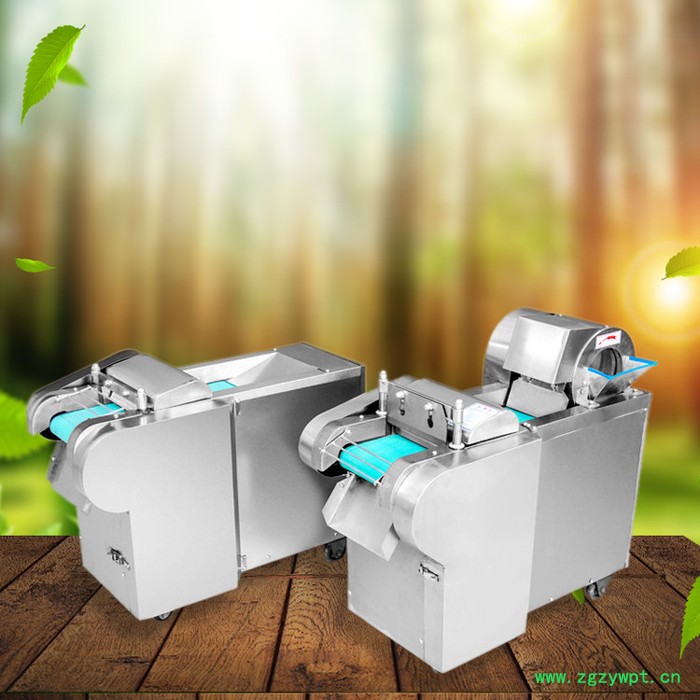 山药切菜机 辣疙瘩切丝机 萝卜切片切丝机图4