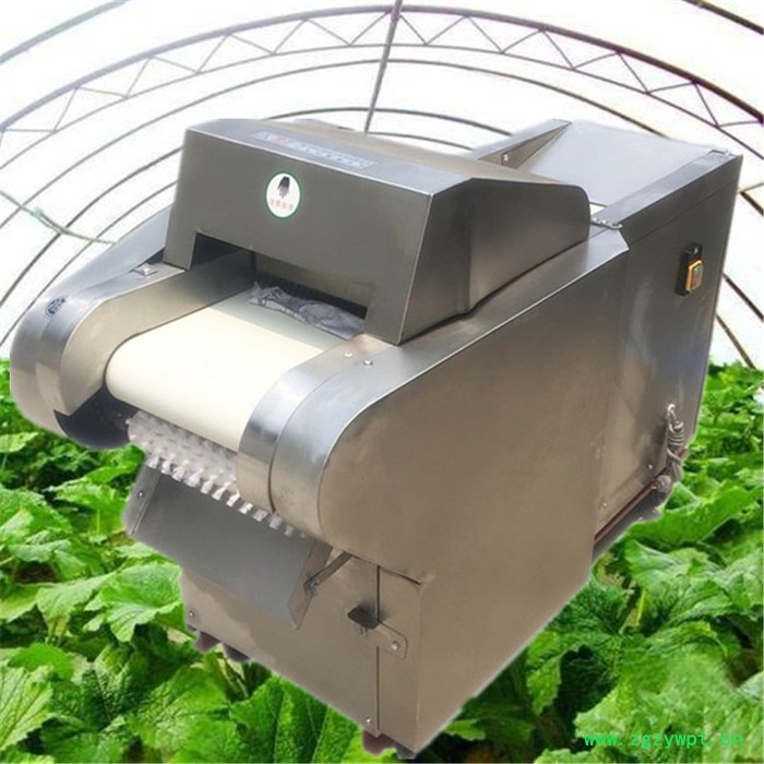 山药切菜机 辣疙瘩切丝机 萝卜切片切丝机图2