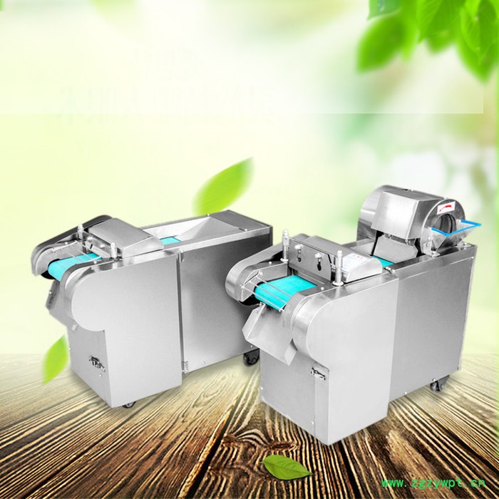 山药切菜机 辣疙瘩切丝机 萝卜切片切丝机图5