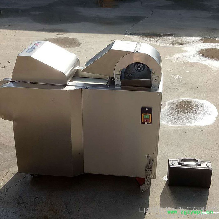 餐馆用多功能芥菜切丝机 麻山药切片机 芹菜切段机厂家图2