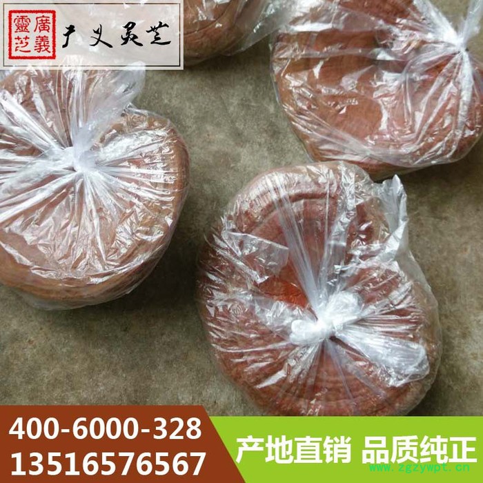 山东椴木灵芝价格 济南椴木长腿厂家 广义灵芝图3