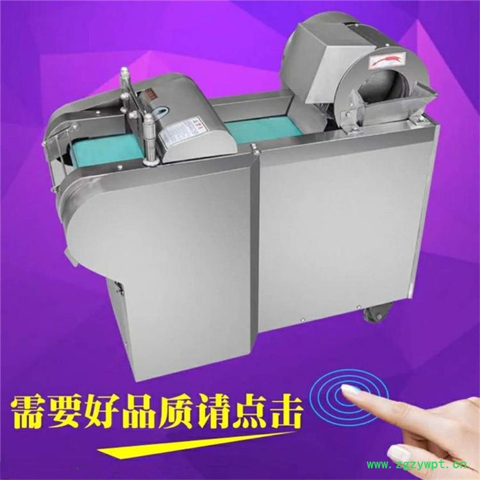 山药切片机 泡菜切丝机 豆油皮切丝机富兴图8