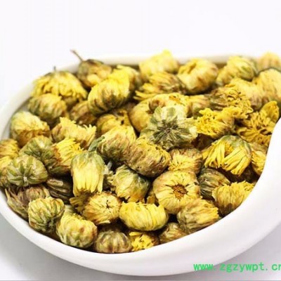 供应飞驰ZD-10L灵芝孢子粉破壁机 超微粉碎机 枸杞低温粉碎机