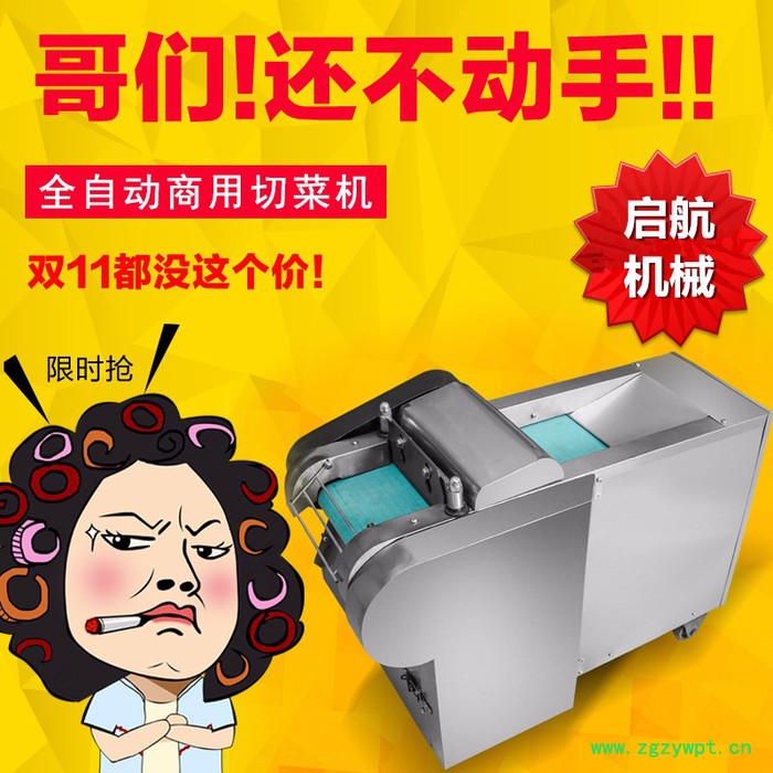 多功能660型全不锈钢切菜机 启航性能稳定多功能切药机 山东660多功能切菜机图4