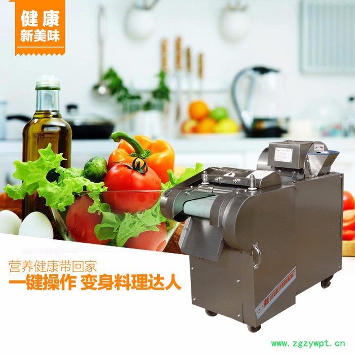 多功能660型全不锈钢切菜机 启航性能稳定多功能切药机 山东660多功能切菜机图6