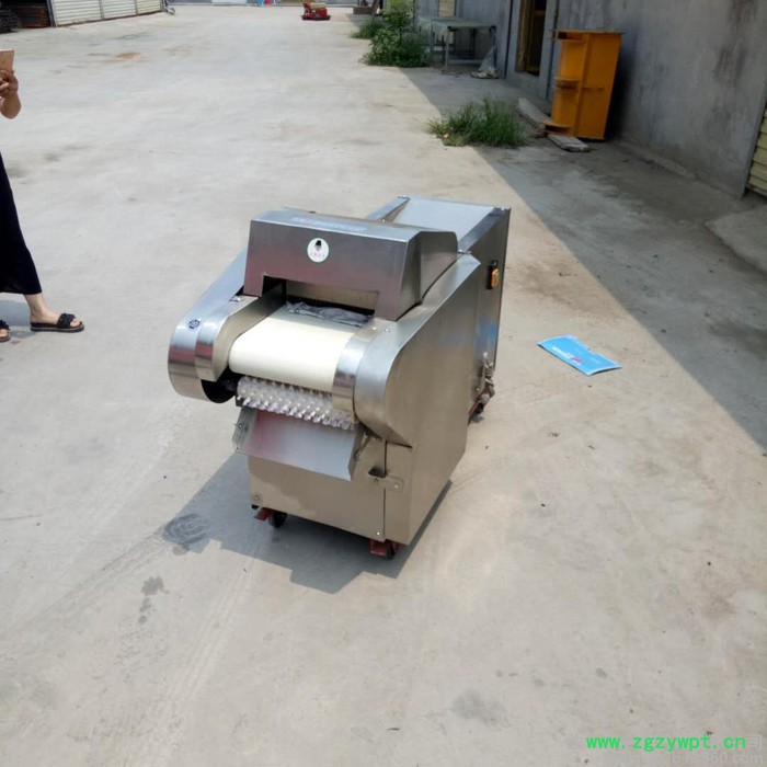 生姜海带切丝机  麻山药 萝卜切片机  启航白菜切丝机价格图7