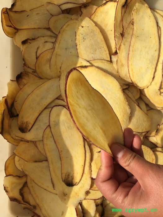 ** 商用多功能切菜机 土豆萝卜切斜片机 酸笋切丝机 中药材切片机图2