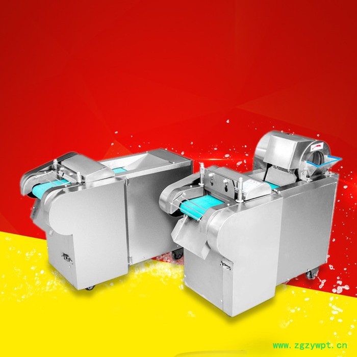 山东白菜切丝机 浙江萝卜切条机药草切丝机图6