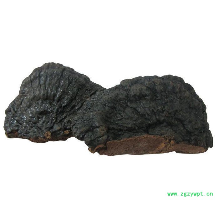 罗氏灵芝专业精选小薄树芝 祛风除湿 **补品  中药材 除湿**补品