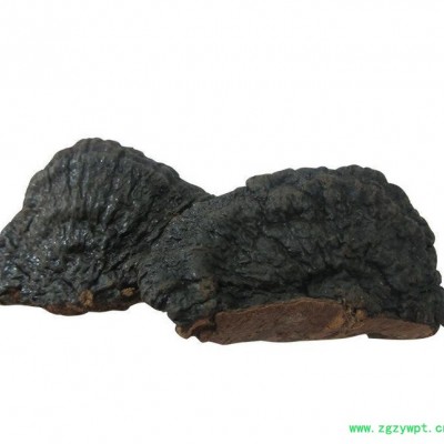 罗氏灵芝专业精选小薄树芝 祛风除湿 **补品  中药材 除湿**补品