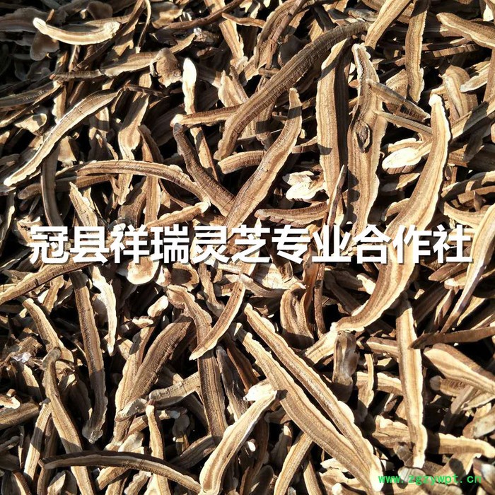 祥瑞 灵芝切片供应