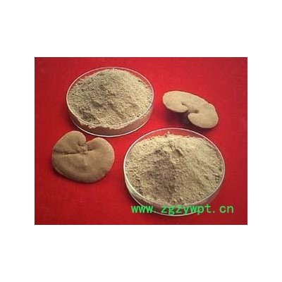 产地直销**灵芝粉