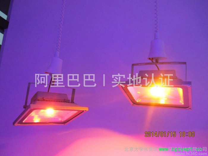 供应韶华之光PKU-PLA-灵芝8/120W灵芝药材补光灯