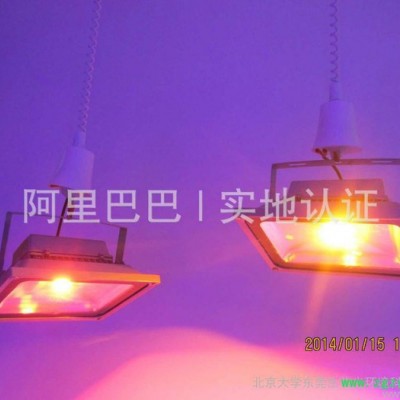 供应韶华之光PKU-PLA-灵芝8/120W灵芝药材补光灯