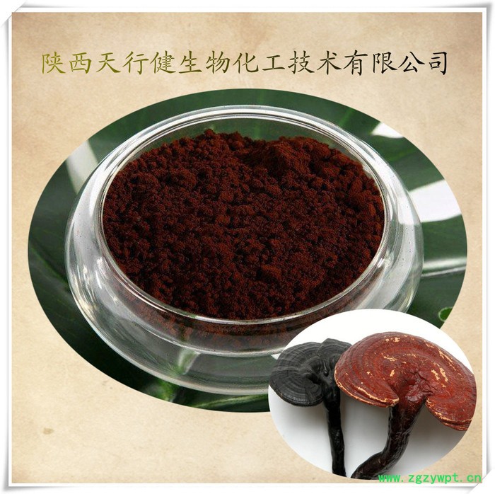 供应天行健txj01灵芝提取提取物
