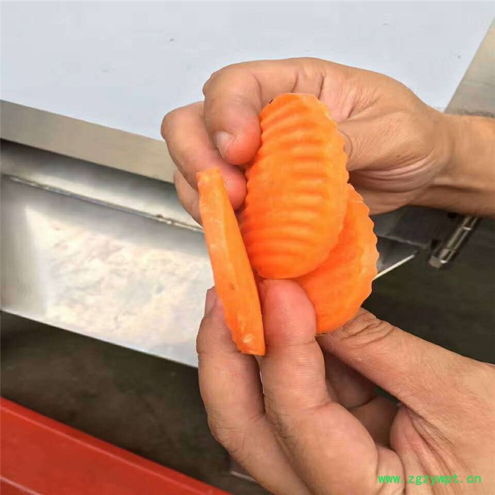 不锈钢香菇切丁机价格 自动生姜切丝机 山药切丝切片机型号图4