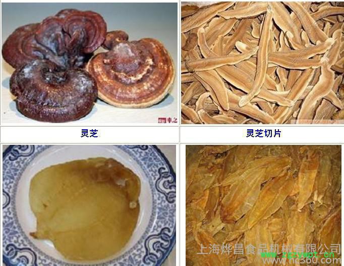 中药材切片机 参茸切片机 切田七 鹿茸 灵芝切片图2