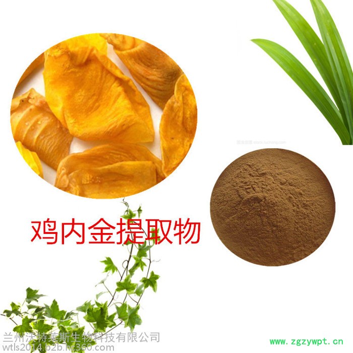 鸡内金提取物 10:1 鸡内金肽 鸡内金速溶粉 鸡内金浸膏图2