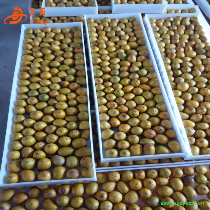 恒芝美中草药烘干机 枸杞烘干机 中药饮片烘干机设备图3