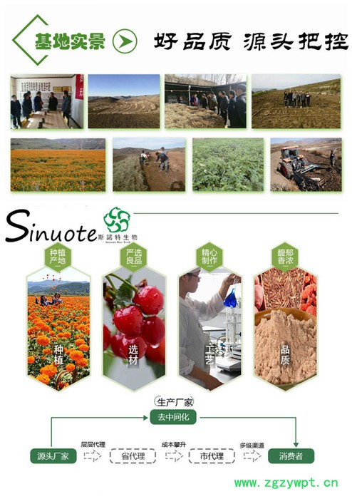 鸡内金速溶粉  鸡内金提取物  药食同源原料粉图7