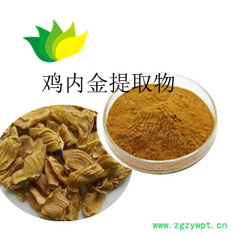 鸡内金提取物图3