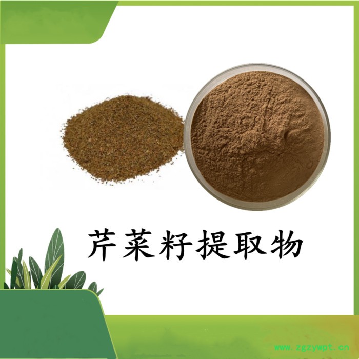 鸡内金提取物 斯诺特 可定制图2