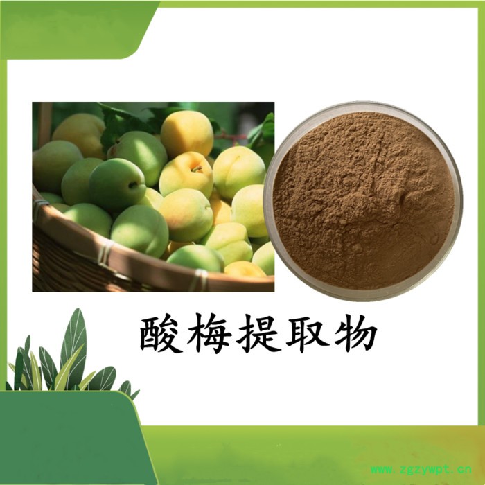 鸡内金提取物 斯诺特 可定制图3