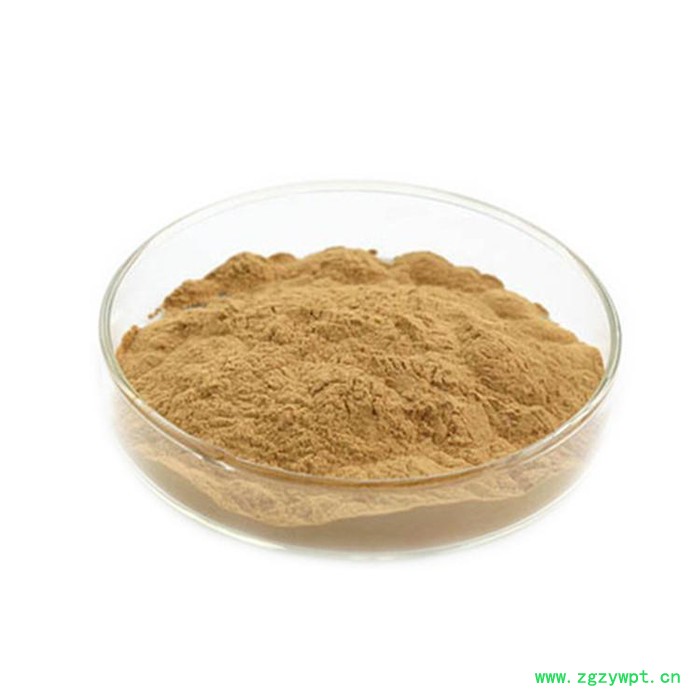 现货鸡内金提取物 鸡内金粉 鸡嗉子粉助消化原料专业厂家供应图2
