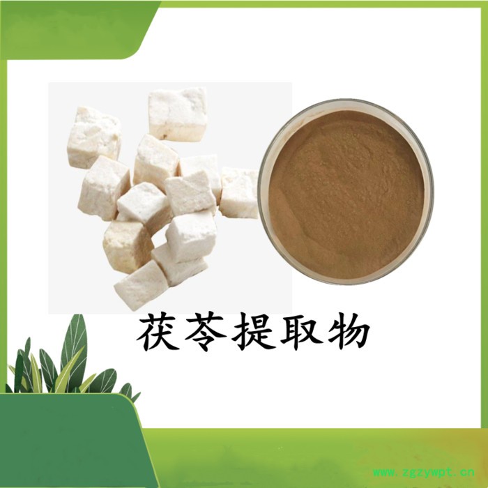 鸡内金提取物 扶风斯诺特 可定制图2