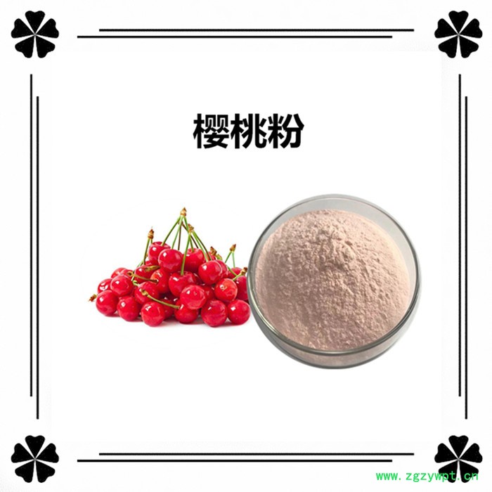 斯诺特 鸡内金破壁粉图3