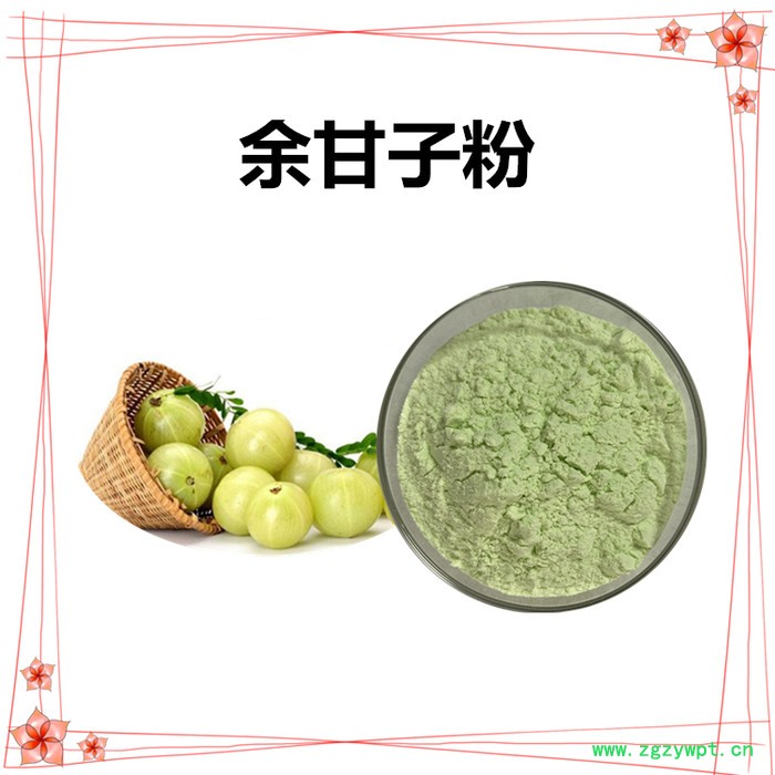 斯诺特 鸡内金破壁粉图4