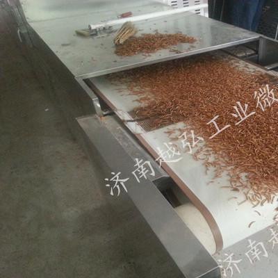 山东量身定做微波设备 微波烘干炉 中药饮片微波干燥灭菌机